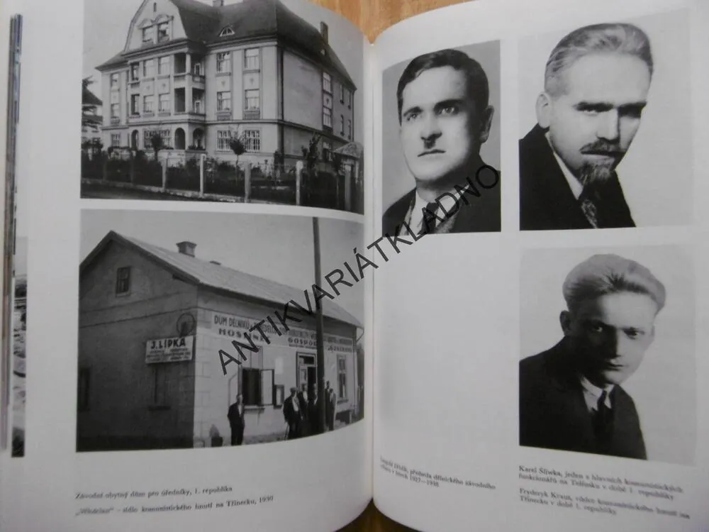 DĚJINY TŘINECKÝCH ŽELEZÁREN VŘSR 1839-1979, TŘINEC