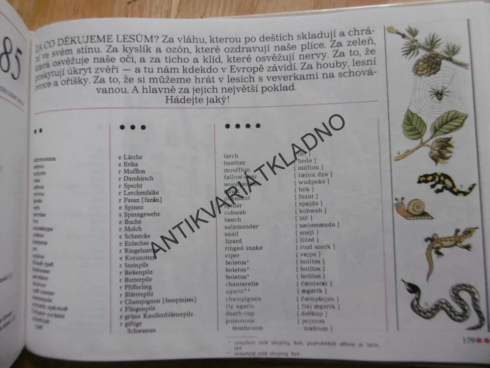 OBRÁZKOVÝ SVĚT, FRANTIŠEK ŠKODA, **an