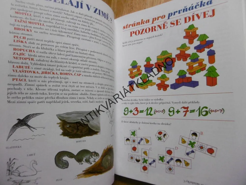 VELKÝ RÁDCE PRVŇÁČKA, ČTEME, DÍVÁME SE, HRAJEME SI A DOBŘE SE BAVÍME, **an