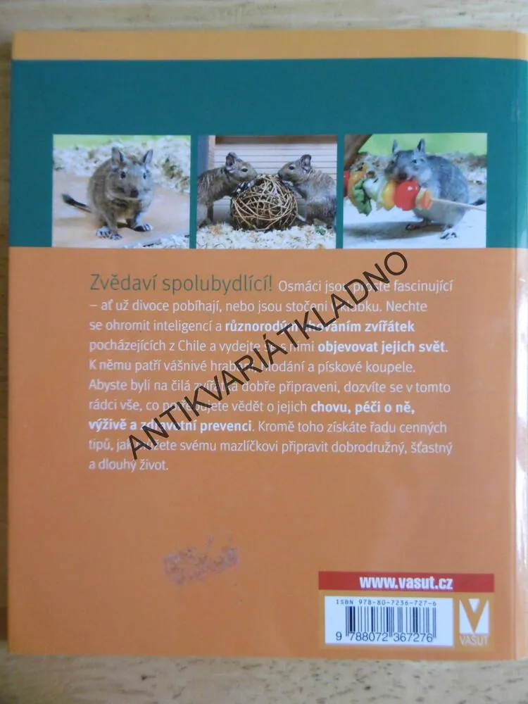 OSMÁK DEGU, JAK NA TO, ALEXANDRA BEISSWENGER, **an