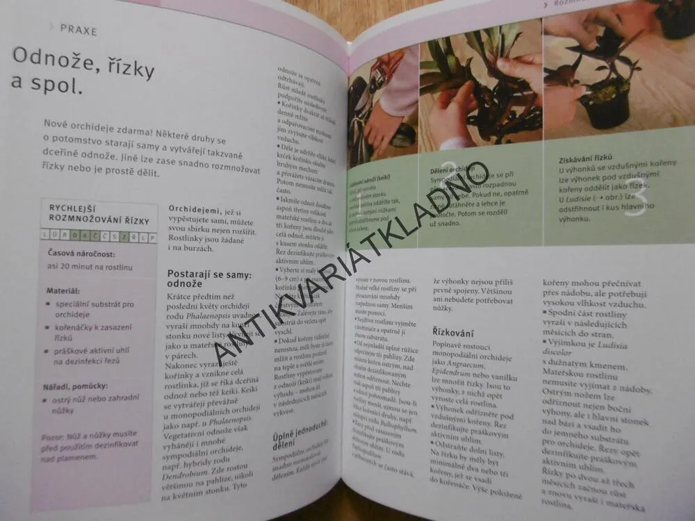ORCHIDEJE, KROK ZA KROKEM K EXOTICKÉ KRÁSE KVĚTIN, FRANK RÖLLKE, ZAHRADA PRO RADOST