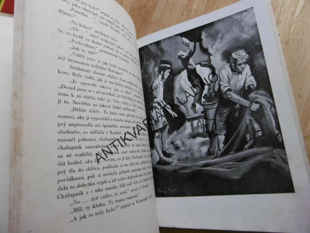 KAMARÁD Z ÚDOLÍ OBRŮ, MILOŠ KOSINA, ČERNÝ-KLATOVSKÝ