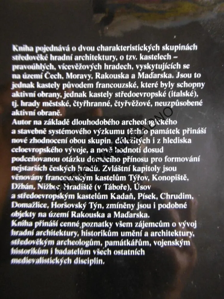 HRADY, KASTELOVÉHO TYPU 13.STOLETÍ VE STŘEDNÍ EVROPĚ, TOMÁŠ DURDÍK