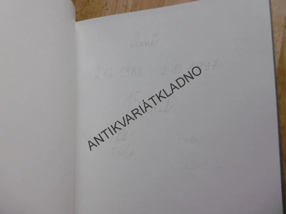 TICHÉ LABYRINTY, PETR HRUŠKA, MICHAL AJVAZ, **an