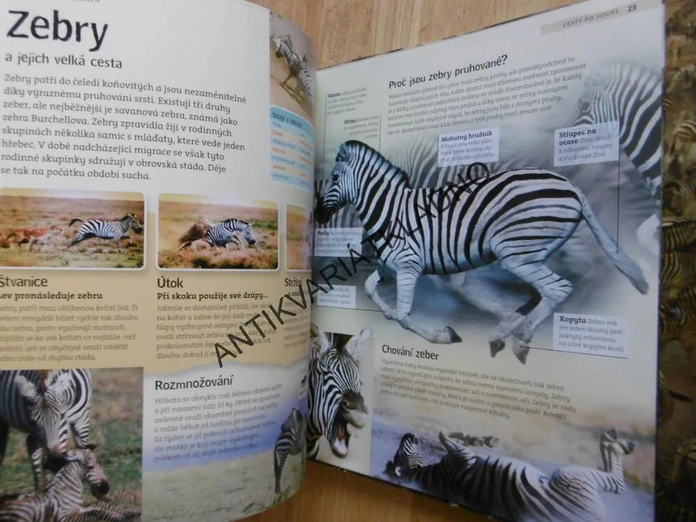 ZVÍŘATA NA CESTÁCH, MIGRACE ZVÍŘAT, ANIMAL PLANET, **an