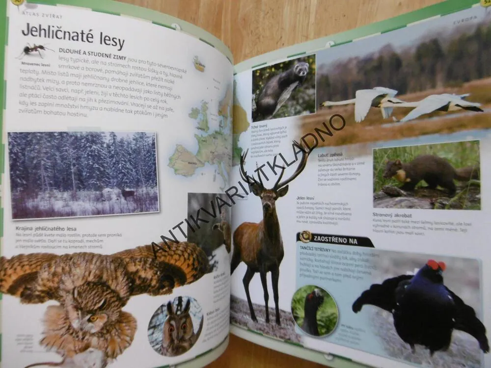 ATLAS ZVÍŘAT, ANIMAL PLANET, **an