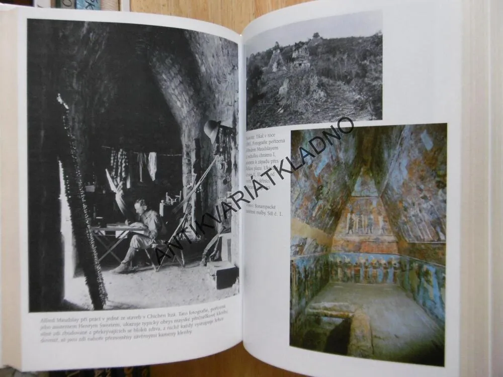 ZTRACENÉ KRONIKY MAYSKÝCH KRÁLŮ, DAVID DREW, **an