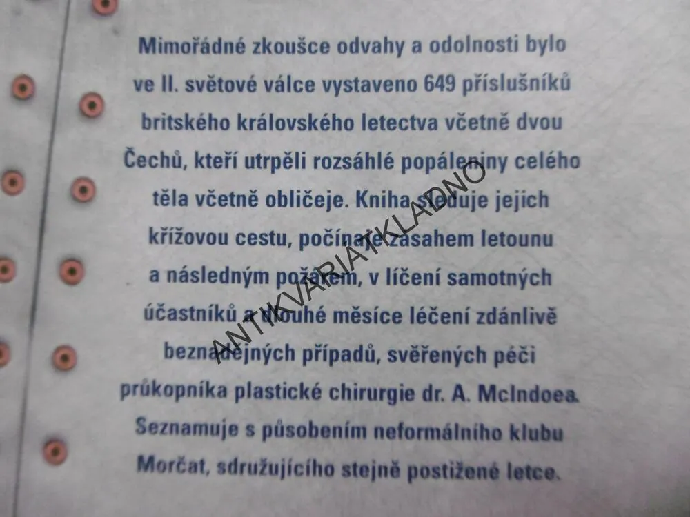 LETCI S PLASTIKOU, E.R. MAYHEWOVÁ, **an