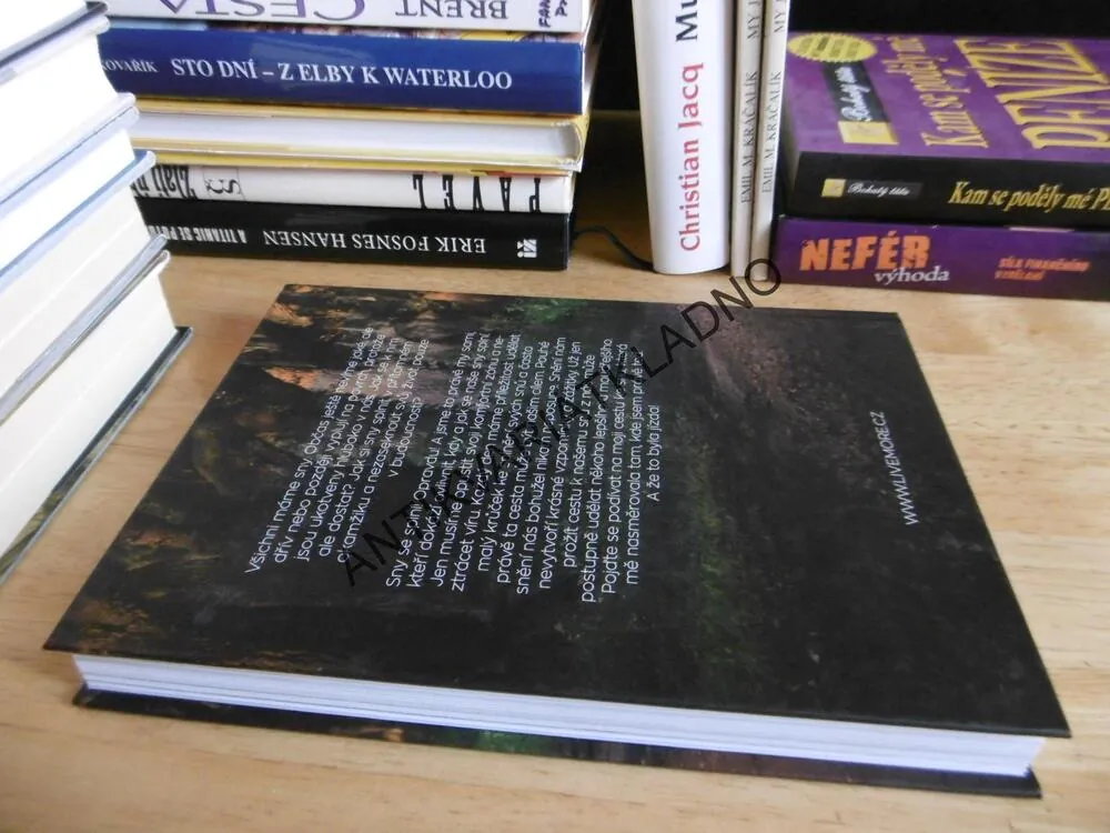 NECHCI JEN SNÍT, CHCI VZPOMÍNAT, TERKA H., TEREZA HEITELOVÁ, 2018