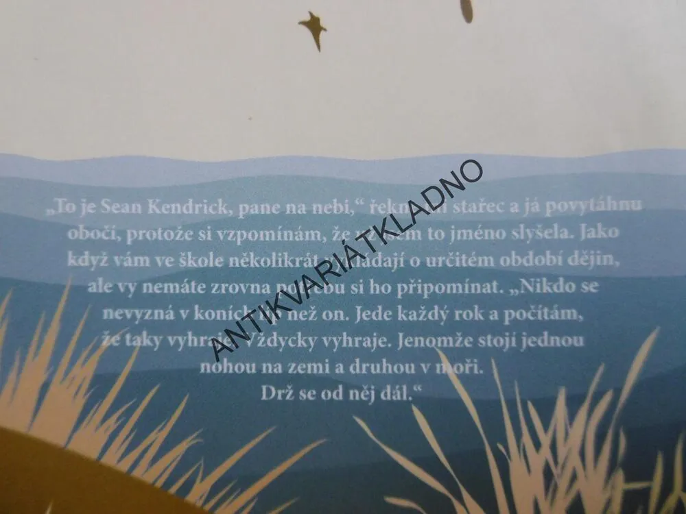 VE ZNAMENÍ ŠTÍRA, MAGGIE STIEFVATEROVÁ