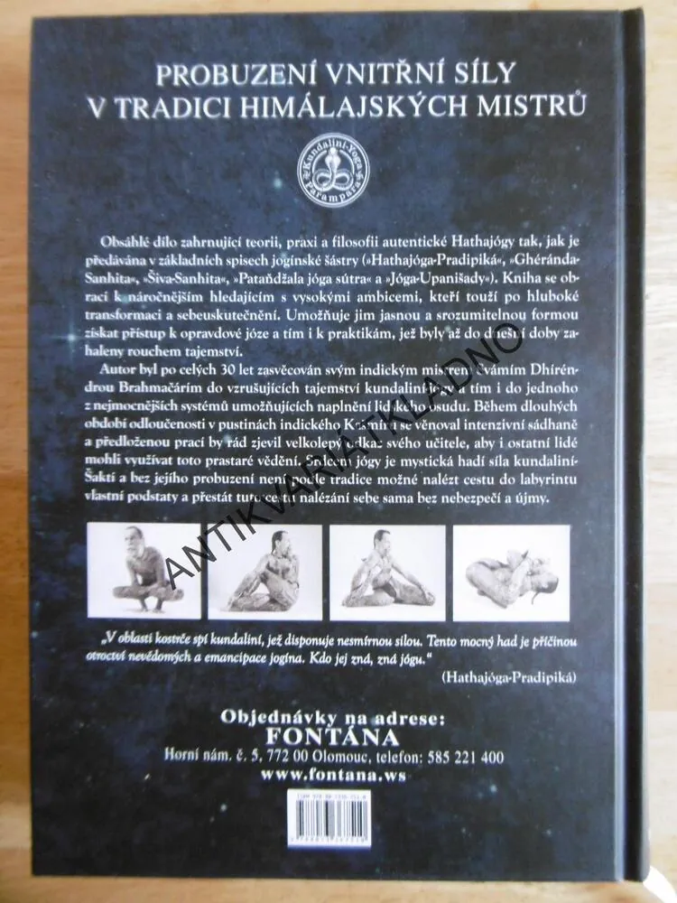 KLASICKÁ HATHAJÓGA, REINHARD GAMMENTHALER