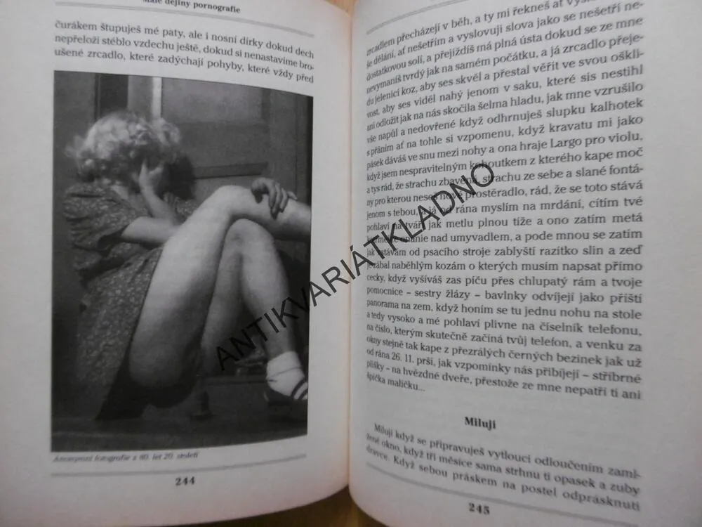 MALÉ DĚJINY PORNOGRAFIE, VÁCLAV SPÁN, **an