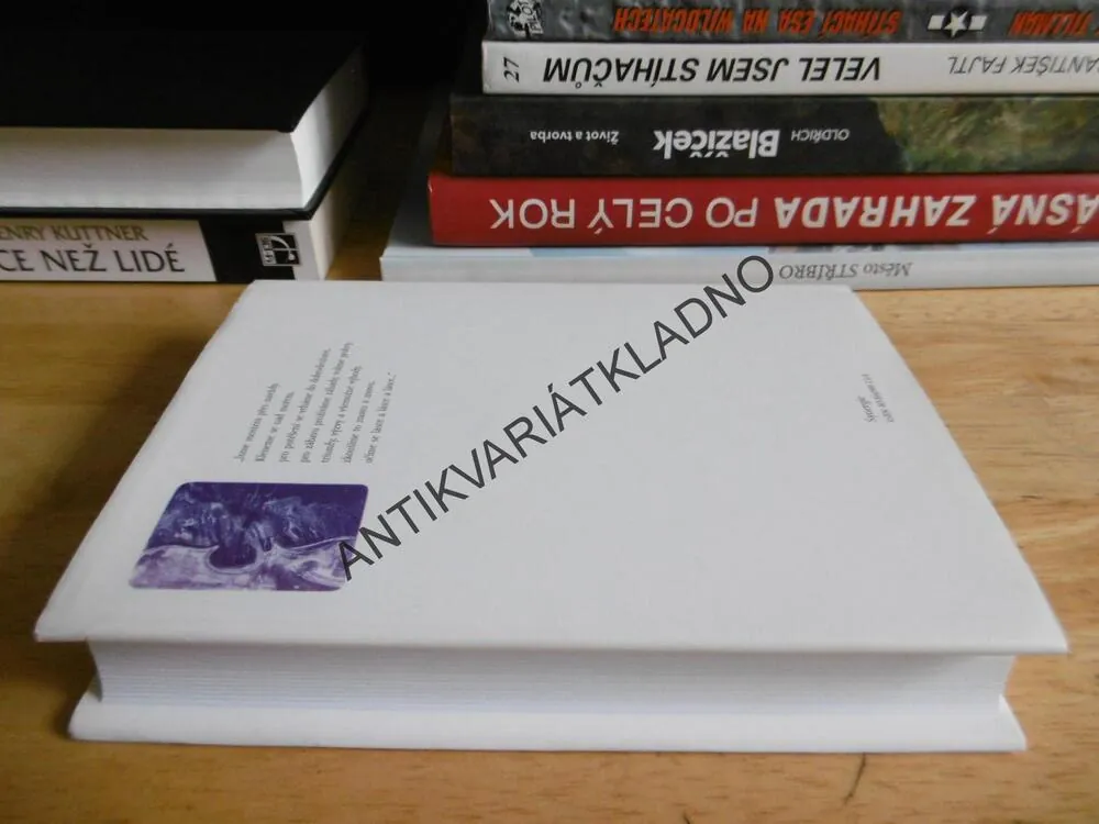 MOST PŘES NAVŽDY, RICHARD BACH