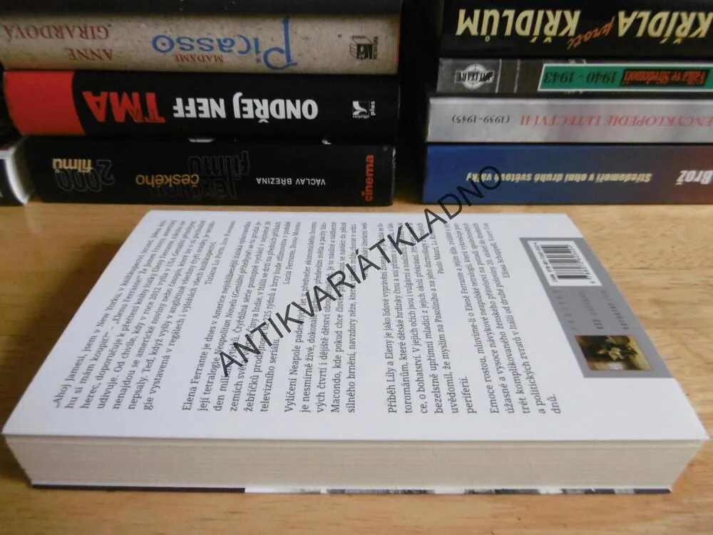 GENIÁLNÍ PŘÍTELKYNĚ,1., ELENA FERRANTE, **an