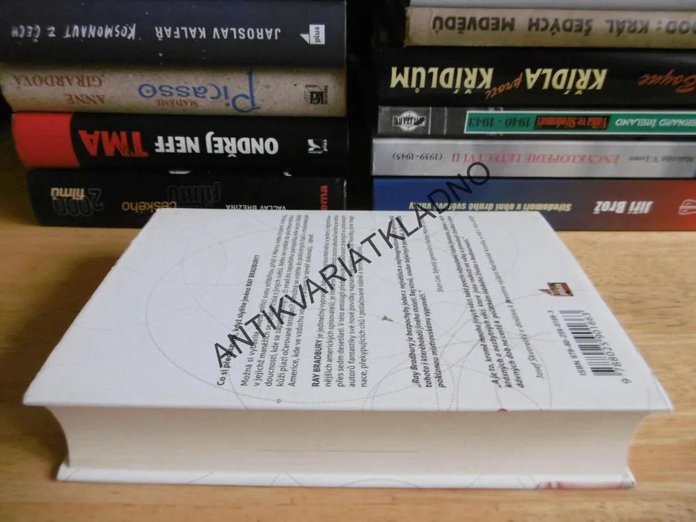 REJ STÍNŮ, POVÍDKY K POCTĚ RAYE BRADBURYHO, **an