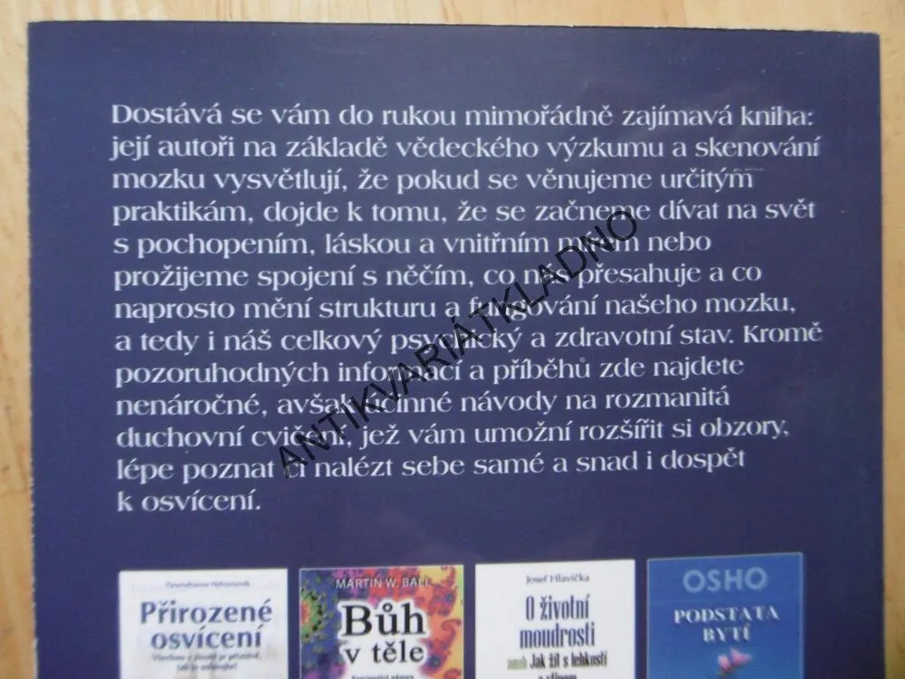 JAKÉ PROŽITKY MĚNÍ NÁŠ MOZEK, ANDREW NEWBERG, **an