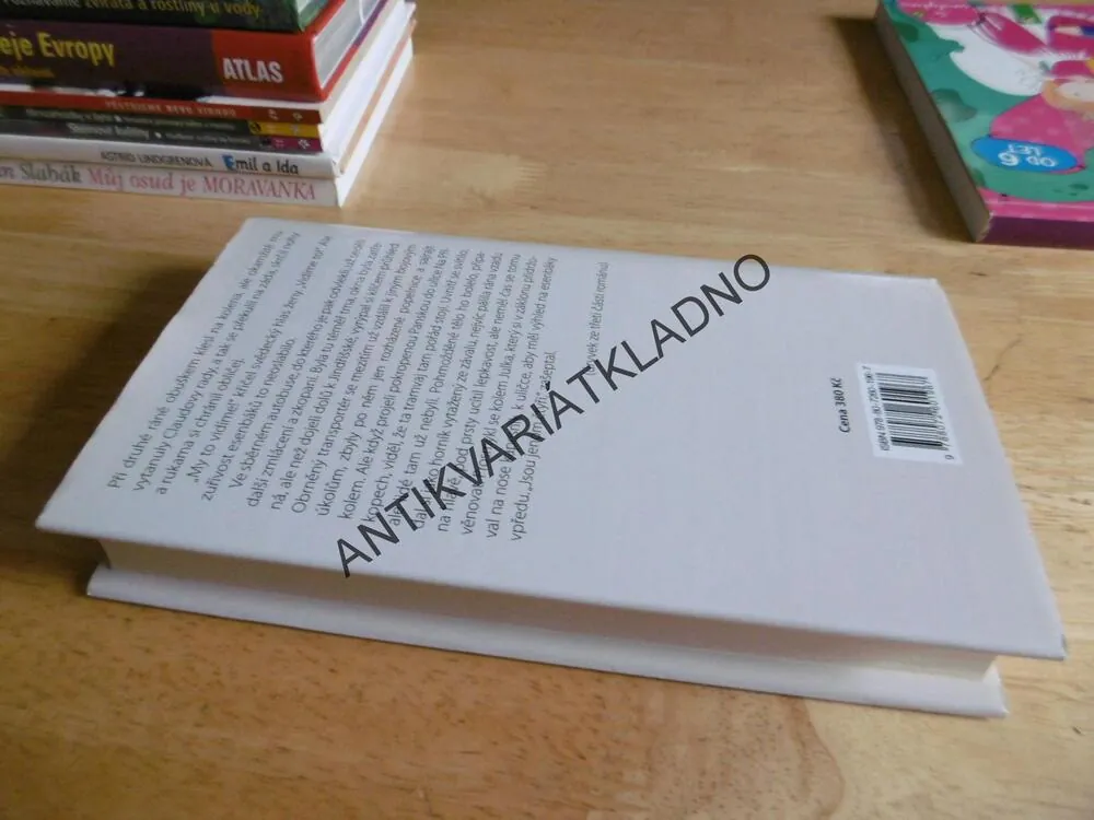 SLUNCE V ÚPLŇKU, PŘÍBĚH JANA PALACHA, LENKA PROCHÁZKOVÁ, **an