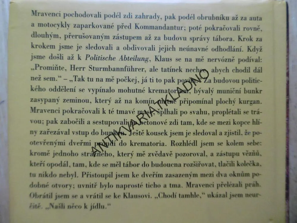 LASKAVÉ BOHYNĚ, JONATHAN LITTELL, **an