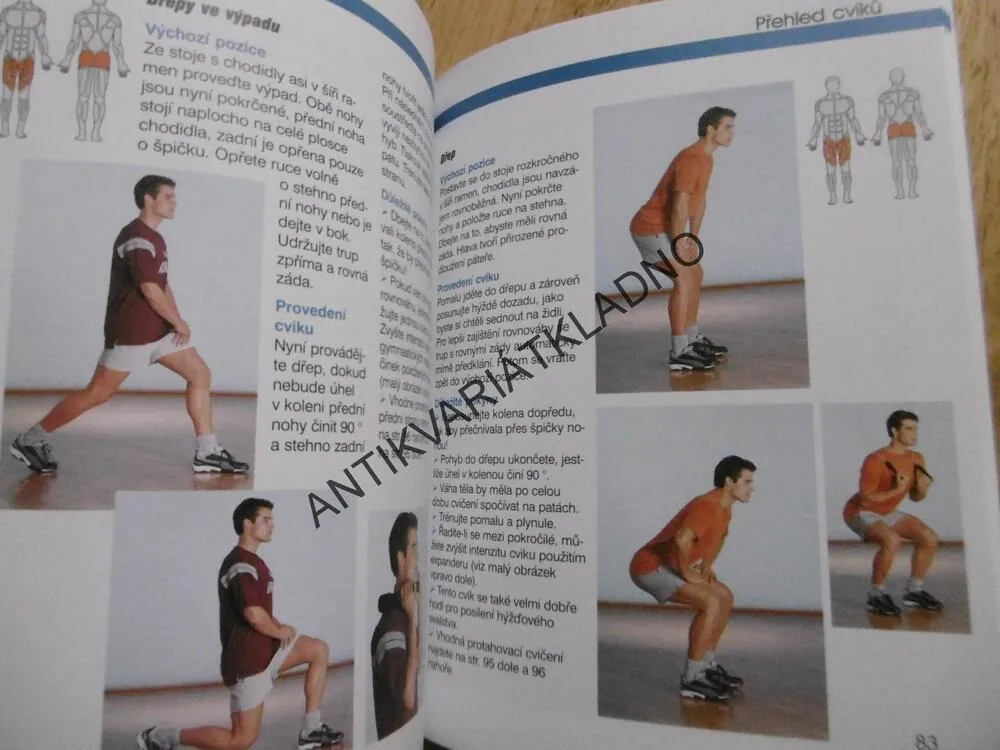DOMÁCÍ POSILOVÁNÍ, SPORT, PRŮVODCE SPORTEM, MIESSNER