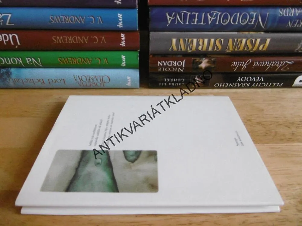 NIKDO NENÍ DALEKO, RICHARD BACH, MARINA RICHTEROVÁ