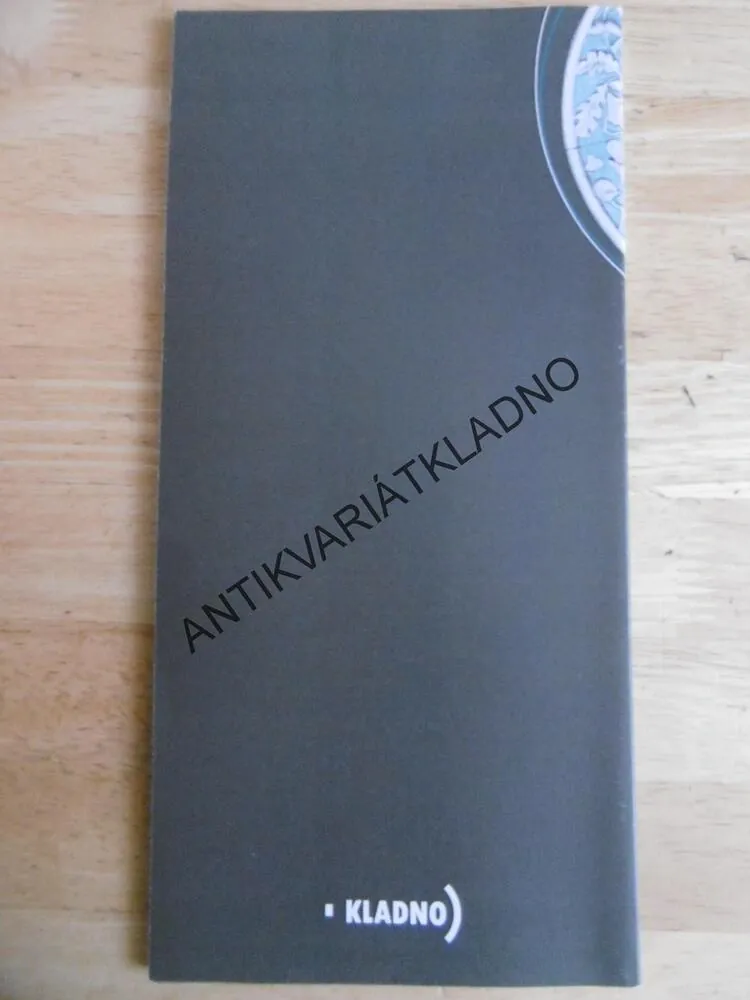 DOMY JAKO GALERIE, JAROSLAV VYKOUK, JAROSLAV VYŠÍN, **an