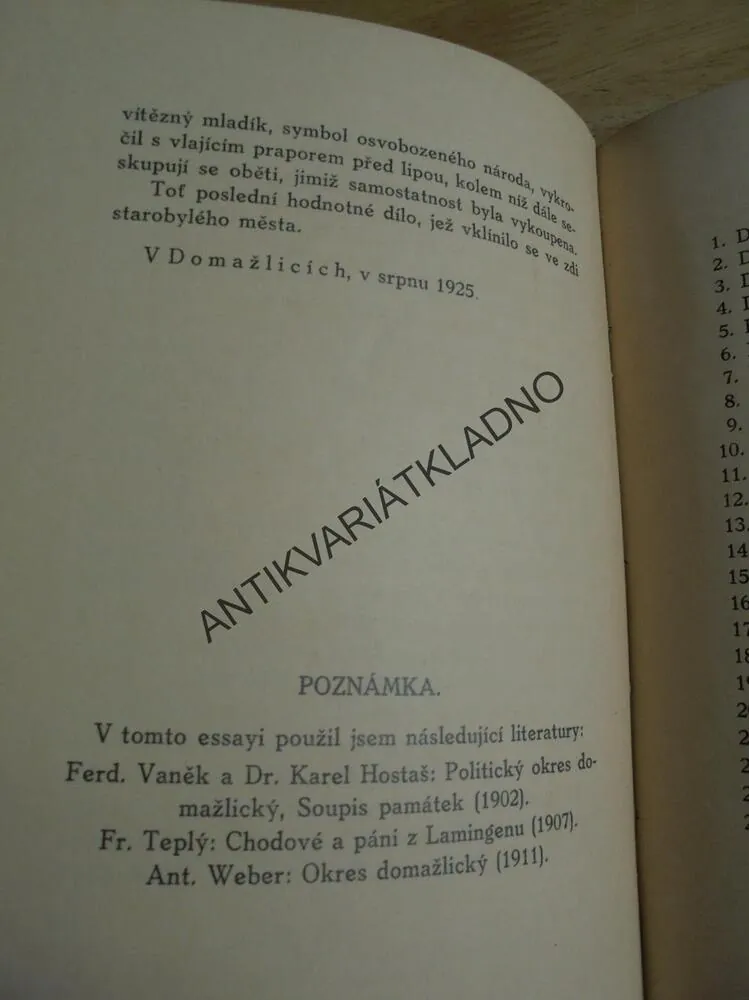 STAROBYLÉ MĚSTO DOMAŽLICE, PAROUBEK, CHODSKO 1926
