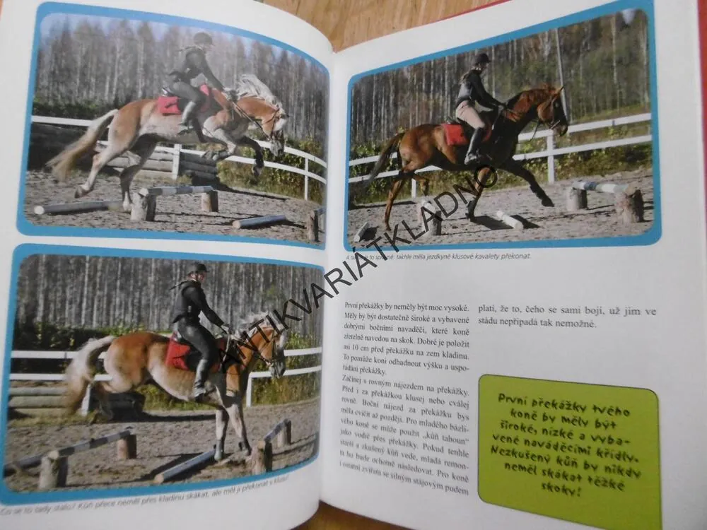 PARKUROVÉ SKÁKÁNÍ, TIINA VAINIKAINEN, **an