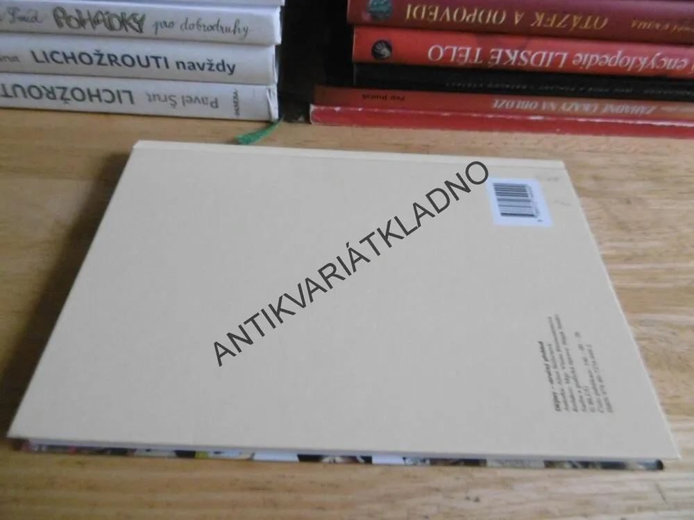 DĚJINY STRUČNÝ PŘEHLED, ALICE SEIFERTOVÁ, **an