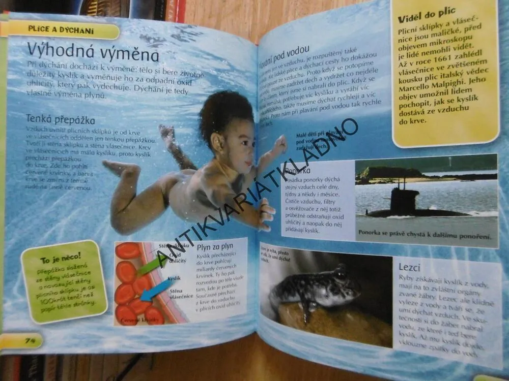 LIDSKÉ TĚLO, DĚTSKÁ ENCYKLOPEDIE, **an