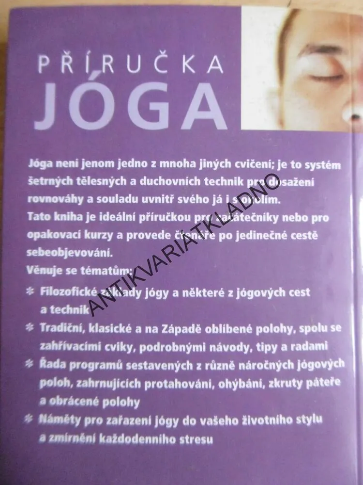 PŘÍRUČKA JÓGA, LINDA DOESER
