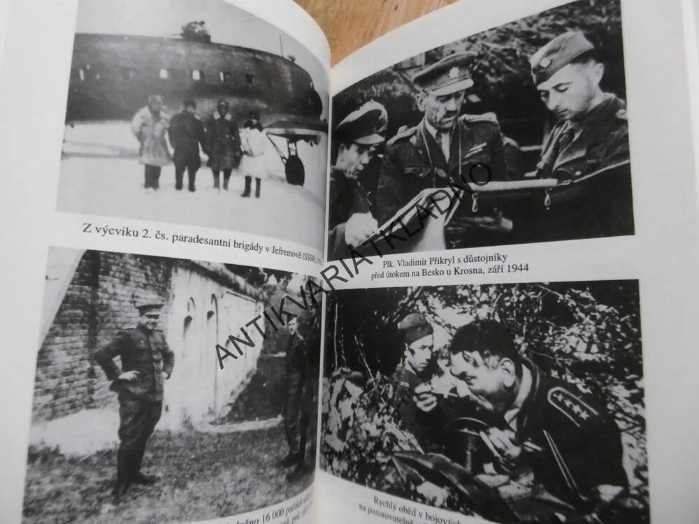 ZA VLÁDY TMY, VLADIMÍR PŘIKRYL, **an