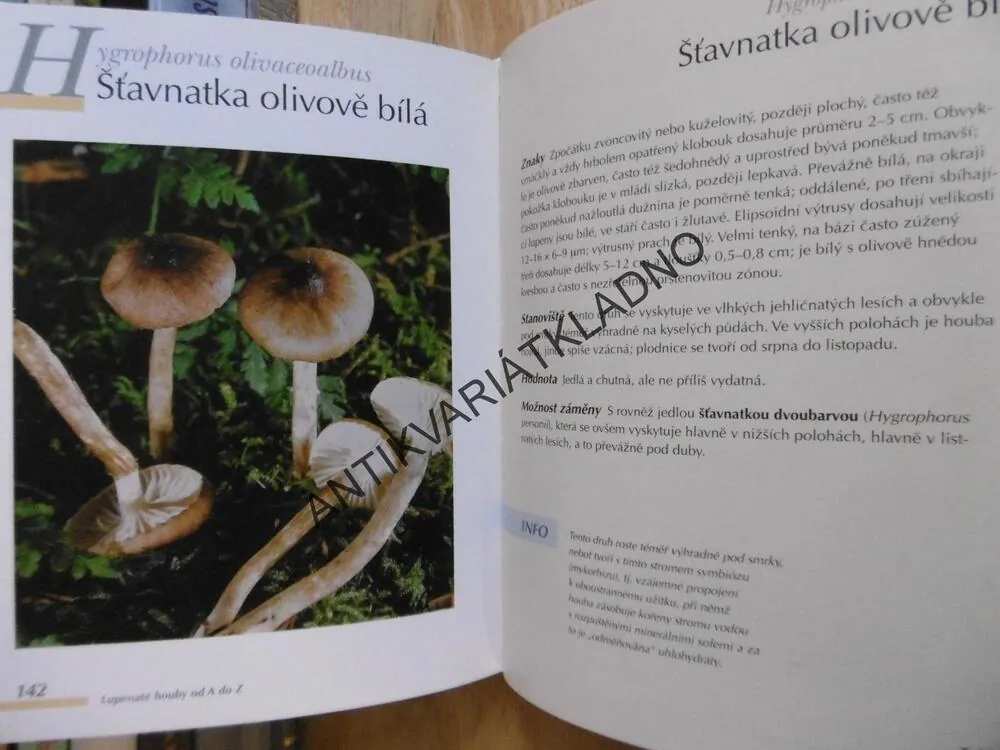 HOUBY, URČOVÁNÍ, SBĚR,**an