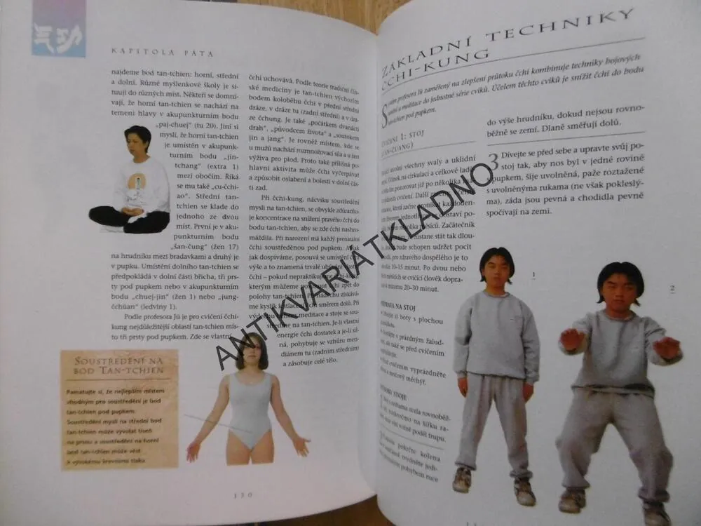 ENCYKLOPEDIE ČÍNSKÉ MEDICÍNY,DR. KAO TUO