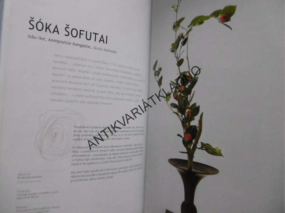 IKEBANA TVORBA KROK ZA KROKEM, CARTON, DIAS