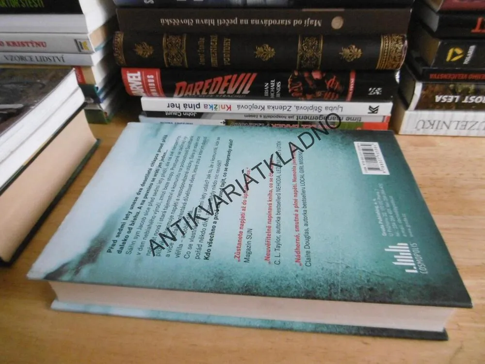 STÍNY NAD ZÁLIVEM, LUCY CLARKEOVÁ, PSYCHOTHRILLER, 