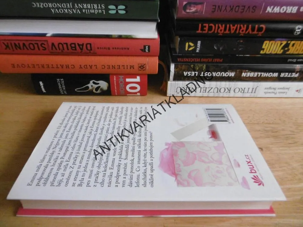 ŠTĚNĚ K VÁNOCŮM, MEGAN RIXOVÁ, **an