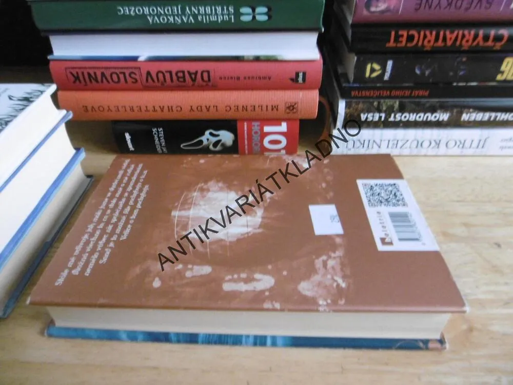 VĚK ZÁZRAKŮ, KAREN THOMPSONOVÁ WALKEROVÁ, **an