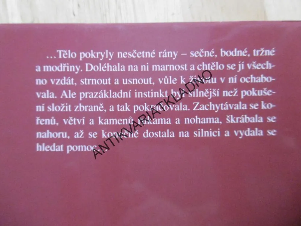 SVĚDKYNĚ, SANDRA BROWN, **an