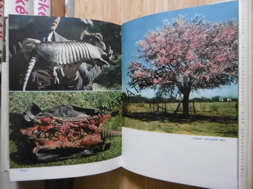 TAM ZA ŘEKOU JE ARGENTINA, JIŘÍ HANZELKA, MIROSLAV ZIKMUND, **an
