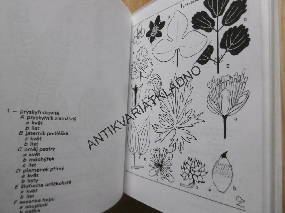 ROSTLINY STRÁNÍ, SKAL, KŘOVIN A LESŮ, FRANTIŠEK HRON, OTAKAR ZEJBRLÍK