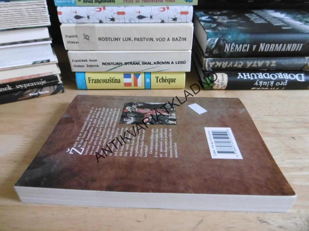 ROŽMBERKOVÉ - PRVNÍ PO KRÁLI, JAN BAUER, **an