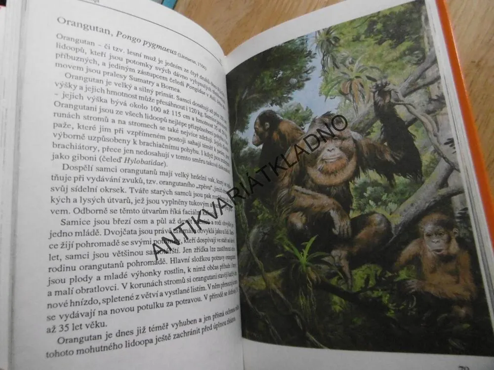 PRAVĚKÝ ČLOVĚK, V. MAZÁK, ZDENĚK BURIAN, 1992, **an