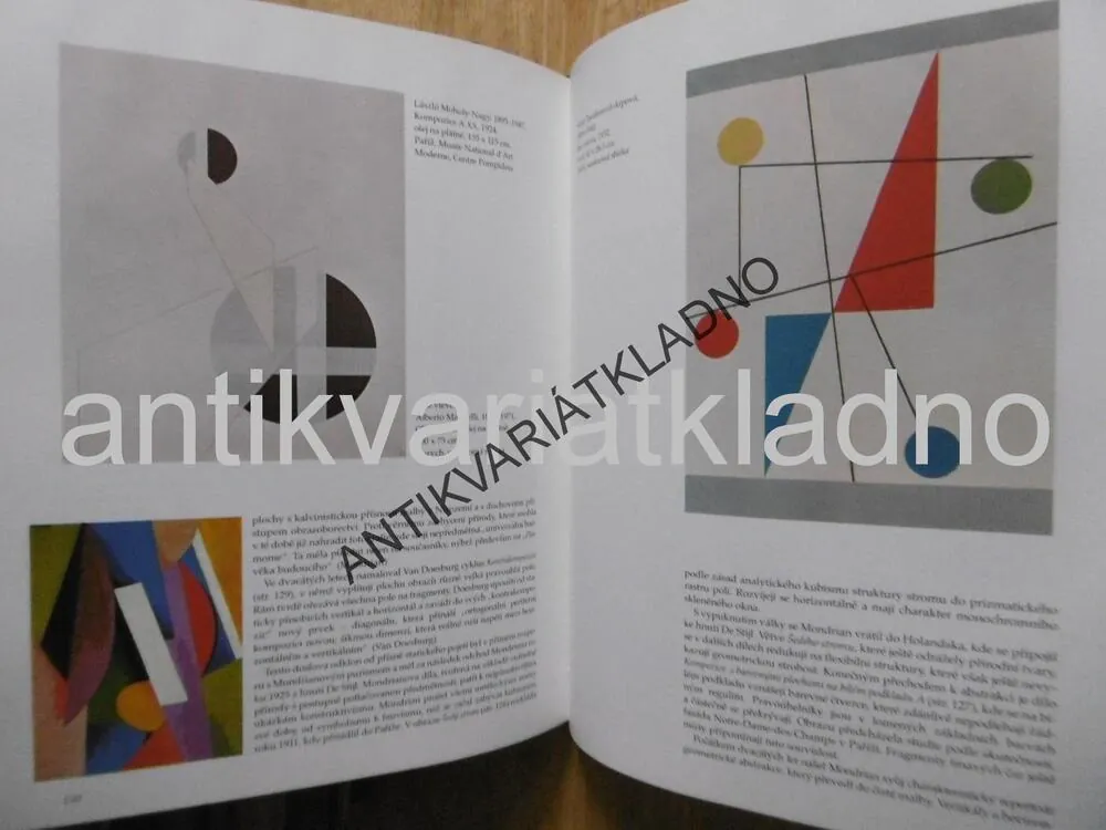 MALÍŘSTVÍ 20.STOLETÍ, GOTTLIEB LEINZ, VÝTVARNÉ UMĚNÍ