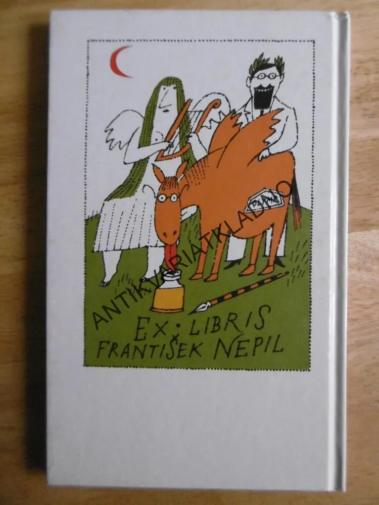 SLOVA MEZI BARVAMI, FRANTIŠEK NEPIL, **an