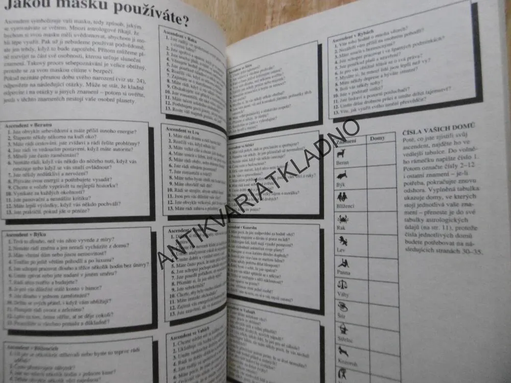 POZNEJ SÁM SEBE, KNIHA OSOBNÍCH TESTŮ, MAYA PILKINGTONOVÁ