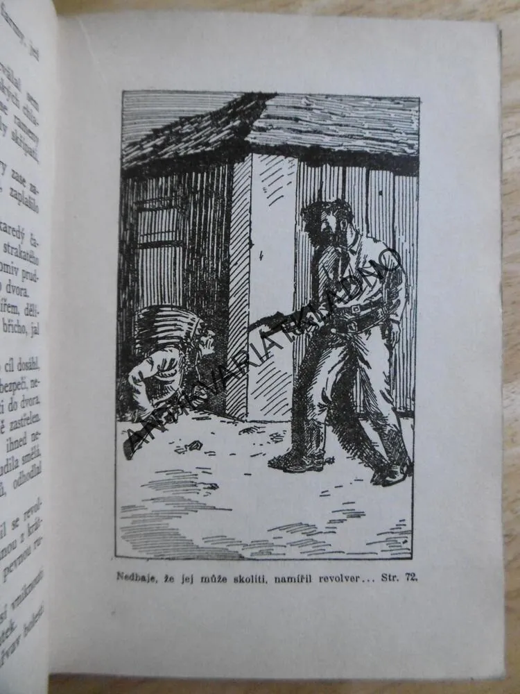 DĚVČE BEZE JMÉNA, A.C. GUNTER,  LOUKOTKA, 1933, **an