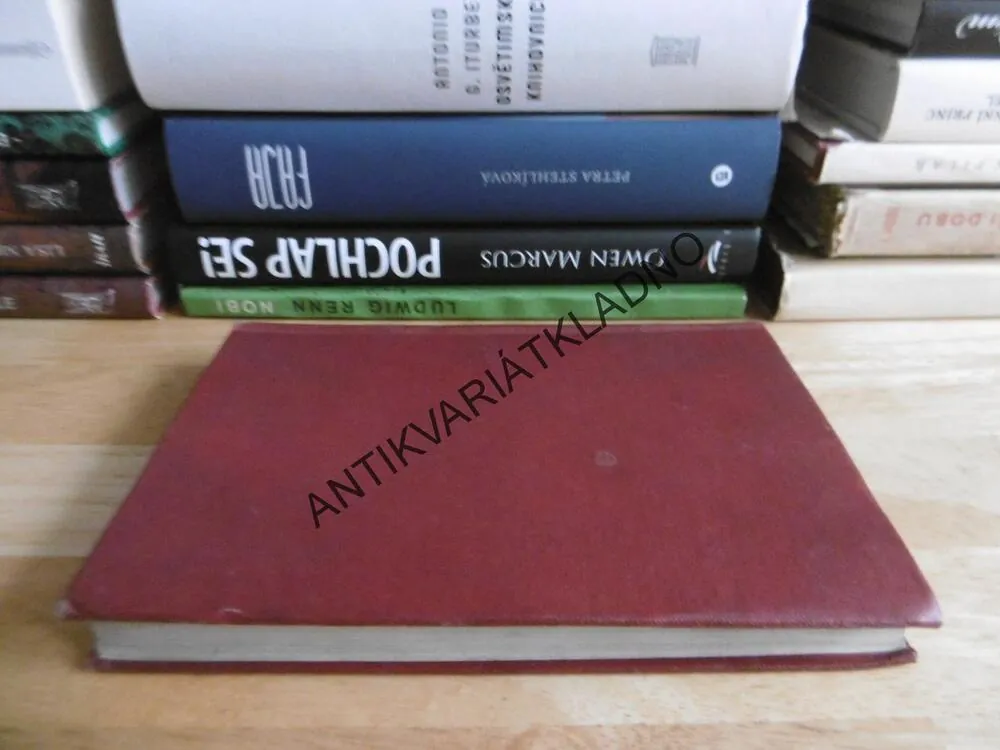 SHORTHAND INSTRUKTOR, PITMAN´S