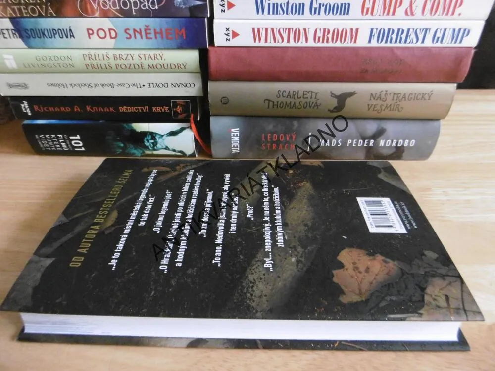 HRAČKÁŘ, ANDREW MAYNE, **an