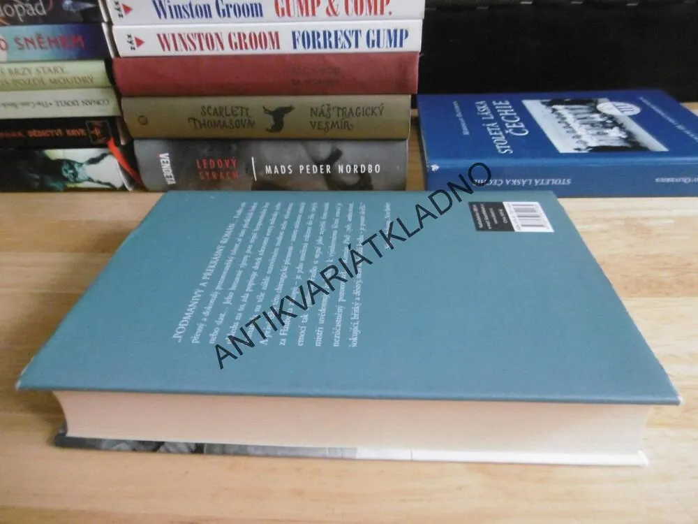 PTAČÍ ZPĚV, SEBASTIAN FAULKS, **an