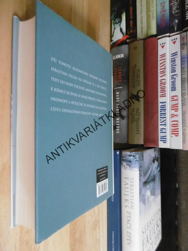 PO STOPÁCH ČLOVĚKA, SEBASTIAN FAULKS, **an